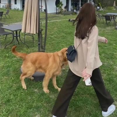 无所畏惧2